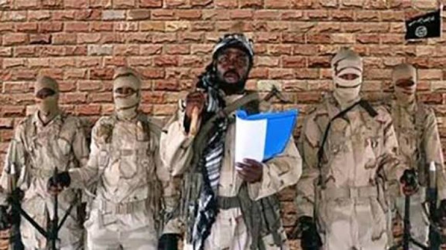 Disaster In Borno Ad Boko Haram Terrorists Kill Commanding Officer, 2 Soldiers, Wounding Six Others
