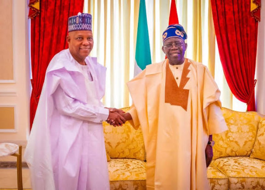 Shettima In Or Out? Tinubu In A Fix Over 2027 Running Mate
