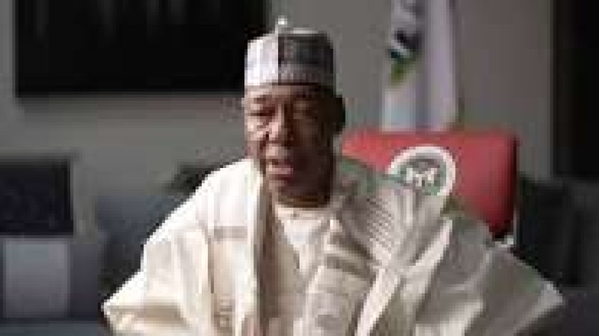 Two suicide bombers still on the loose in Maiduguri – Gov Zulum