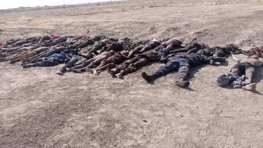 Nigerian Army Recovers 74 Terrorist Bodies In Borno