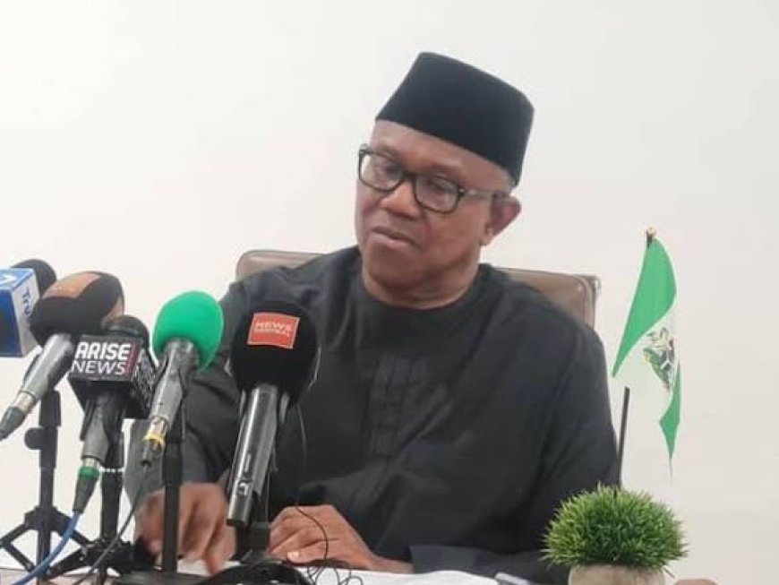 Federal Government Bent On Stopping Me From Contesting 2027 Election As Presidential Candidate, Says Peter Obi