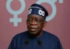 How Opposition Tinubu Would Treat President Tinubu