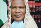 Save Our Democracy, Dear Justice Mohammed Garba -led Supreme Court Panel