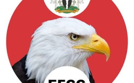 Alleged Investment Fraud: EFCC Presents 11th Witness against Jesam Ubi