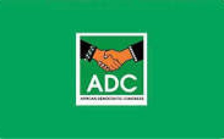 US firm to report INEC-ADC crisis to Trump, Congress
