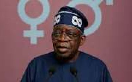 How Opposition Tinubu Would Treat President Tinubu