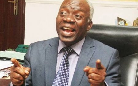 INEC Misinterpreted Court Order Over ADC Crisis, Says Femi Falana