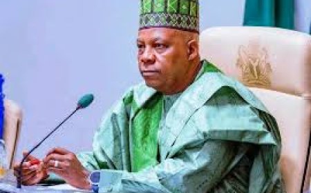 Presidency Spends ₦10 million On Two Pressing Irons For Shettima’s Office, N6.8 million On 20 Litres Of Groundnut Oil