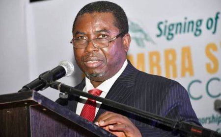 Amupitan and the Ruse of Law