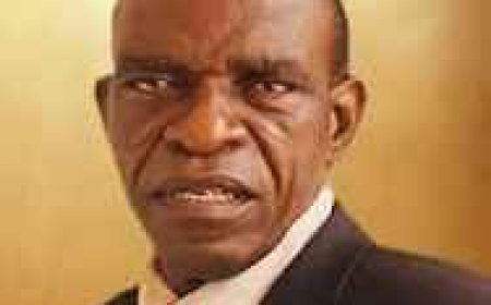 Evaluating Peter Obi’s Mental and Physical Fortitude For the Task Ahead, 