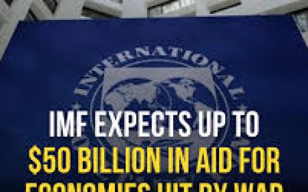IMF Projects $50b In Emergency Financing To Tackle Global Payment Balance Shocks