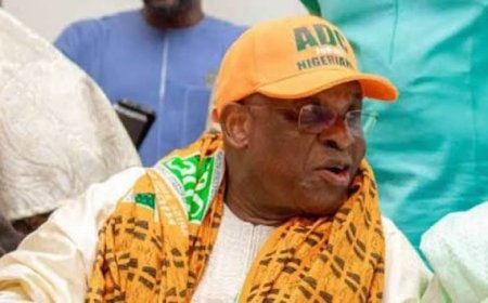 ADC Won’t Bow To Intimidation, Pressure, Says  David Mark