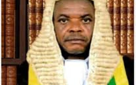 Justice Nwite Doing FG's Hatchet Job to Destroy ADC - Senator Umeh 
