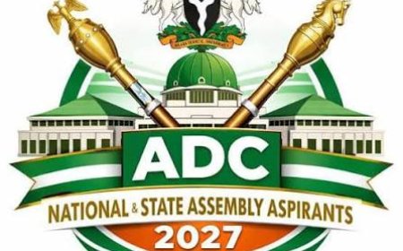 UK Govt Explains Why It Attended ADC National Convention