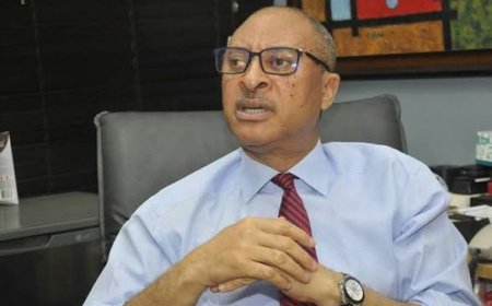 Tinubu's Economic Reforms Are Ponzi Schemes, Says Pat Utomi  
