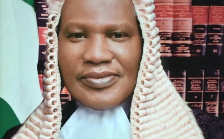 Save Our Democracy, Dear Justice Mohammed Garba -led Supreme Court Panel