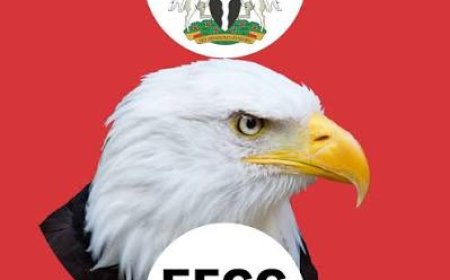 Dasuki’s Trial:  Defendants Made their Statements without Duress, Under Caution-Witness