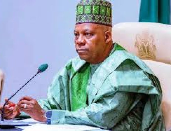 Presidency Spends ₦10 million On Two Pressing Irons For Shettima’s Office, N6.8 million On 20 Litres Of Groundnut Oil