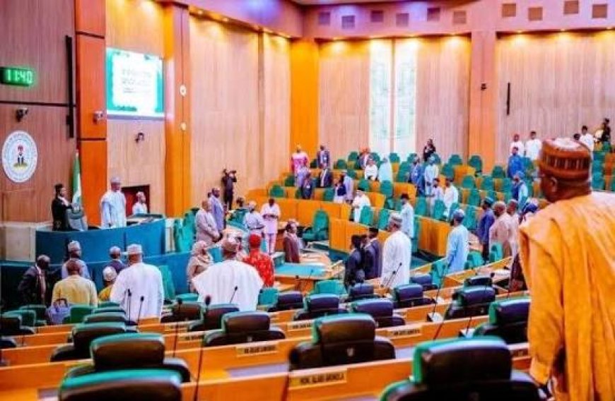 26 Lawmakers Switch Parties As Mass Defections Hit House Of Representatives