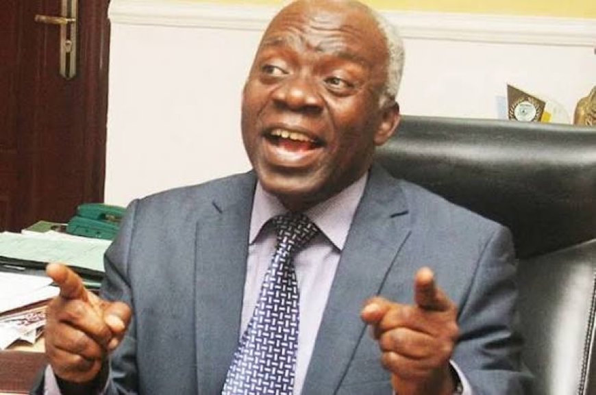 INEC Misinterpreted Court Order Over ADC Crisis, Says Femi Falana