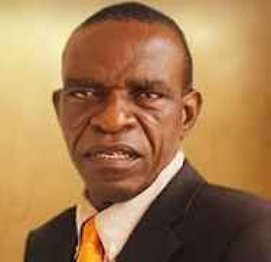 Evaluating Peter Obi’s Mental and Physical Fortitude For the Task Ahead, 