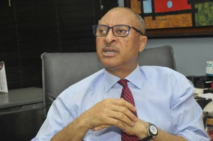 Tinubu's Economic Reforms Are Ponzi Schemes, Says Pat Utomi  