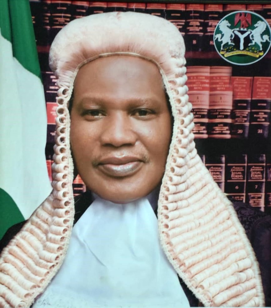 Save Our Democracy, Dear Justice Mohammed Garba -led Supreme Court Panel