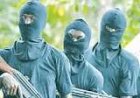 Bandits Kill Five Traders, Four Vigilantes, one other In Zamfara