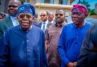 APC Promaries Demonstrate Internal Democracy, Deepen Grassroot Politics, Says Tinubu