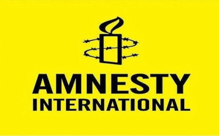Court Judgment Against SERAP A Dangerous Blow To Free Expression And Civic Space---Amnesty International 
