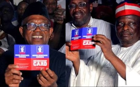 Defection To NDC: Coalition for Peter Obi Affirms Unwavering Solidarity with Peter Obi