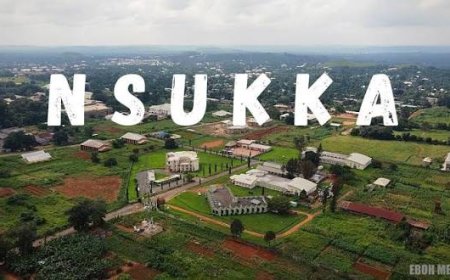 Between Mkpokote and Mkpoye Nsukka: Politics and the Burden of Self