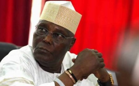 Nobody Should Mock Atiku For Loving Nigeria 