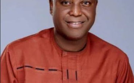 Enugu ADC Chairman Prof Akubue Resigns Heads for NDC