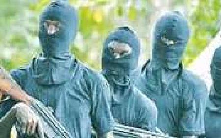 Bandits Kill Five Traders, Four Vigilantes, one other In Zamfara