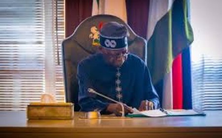 ‘Probe ₦26.9bn USPF Scandal Threatening Digital Access, Rights,’ SERAP Tells Tinubu