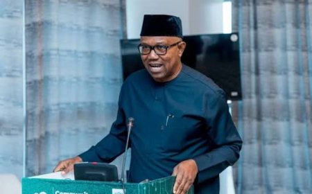 Presidency Questions Sincerity Of Peter Obi's One- Term Promise