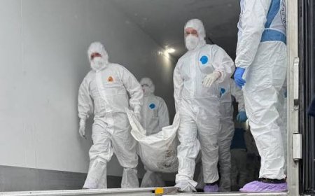 Russia Repatriates 528 Bodies Of Dead Soldiers To Ukraine