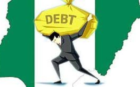 Deficits, Debt and Economic Literacy: A Response to Nigeria’s Fiscal Critics