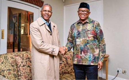 Obi Addresses Immigration Concerns for Nigerians in South Africa