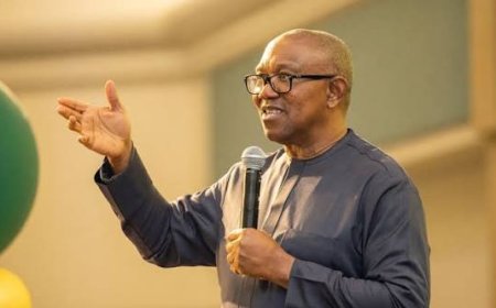 Politicians are the Goliaths in our polity; Nigeria must find its David  ---Peter Obi 