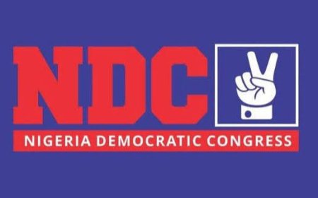 NDC Releases Full List of Electoral Committee Members for 2027 Nationwide Primaries