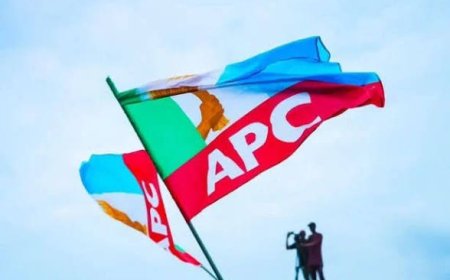 The 1.9 Million Ghost Delegates: APC’s Primary Math That Broke Nigeria’s Brain