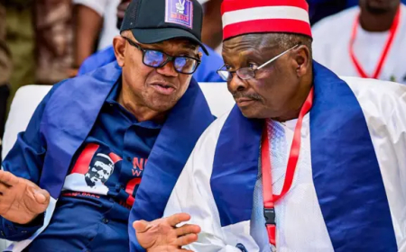 NDC Endorses Obi As 2027 Presidential Candidate, Names Kwankwaso as Running Mate
