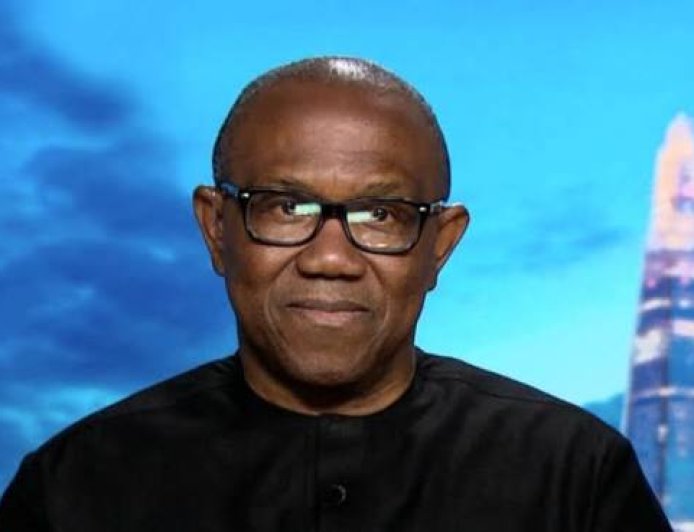 Why Africa Should Not Be Poor - Peter Obi