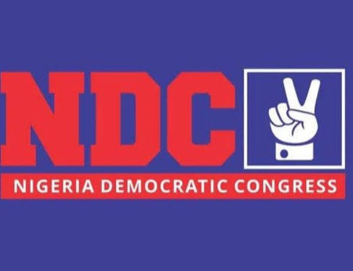 NDC Releases Full List of Electoral Committee Members for 2027 Nationwide Primaries