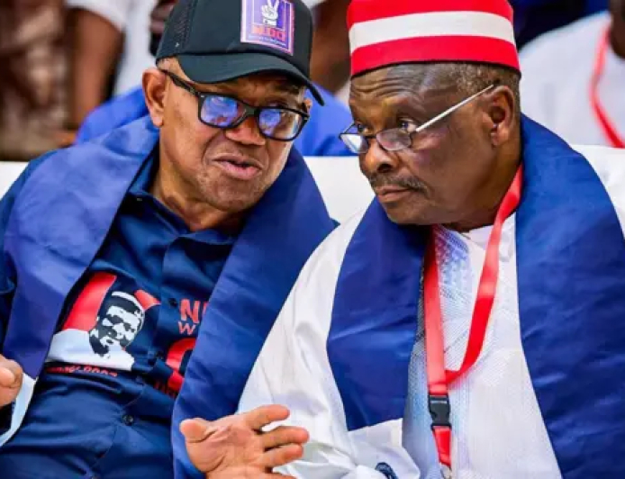 NDC Endorses Obi As 2027 Presidential Candidate, Names Kwankwaso as Running Mate