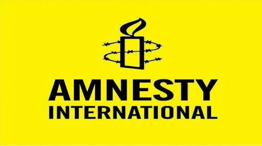 Court Judgment Against SERAP A Dangerous Blow To Free Expression And Civic Space---Amnesty International 