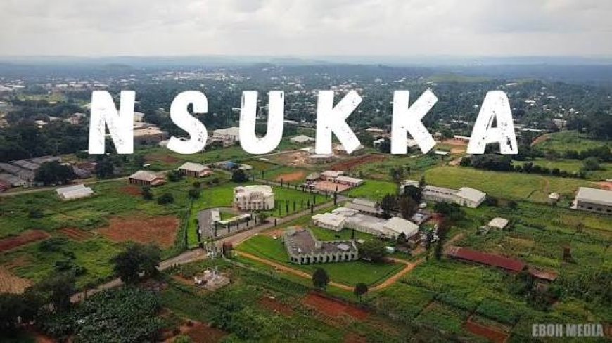 Between Mkpokote and Mkpoye Nsukka: Politics and the Burden of Self
