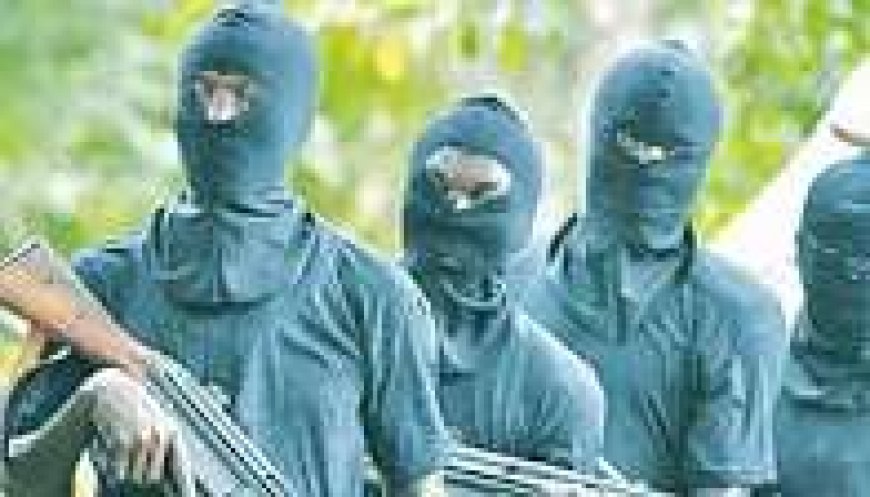 Bandits Kill Five Traders, Four Vigilantes, one other In Zamfara